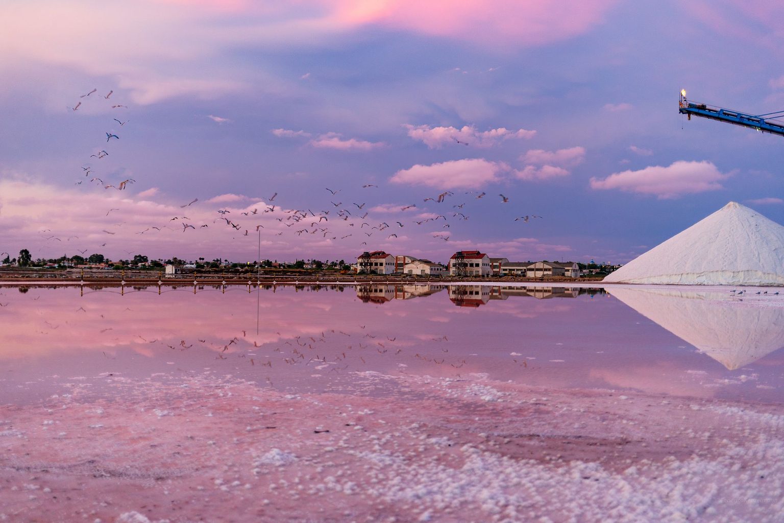 De roze zoutmeren van Torrevieja in de schemering, met een vlucht vogels die weerspiegelt in het water