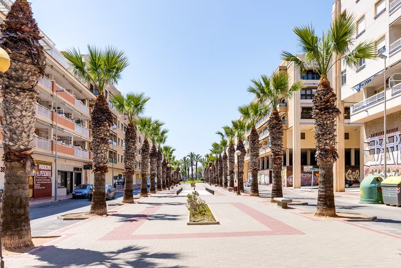 De met palmbomen omzoomde laan die naar het strand van Guardamar del Segura leidt